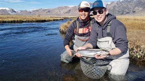 Upper Owens River Fly Fishing Report Mammoth Lakes Ca 11320