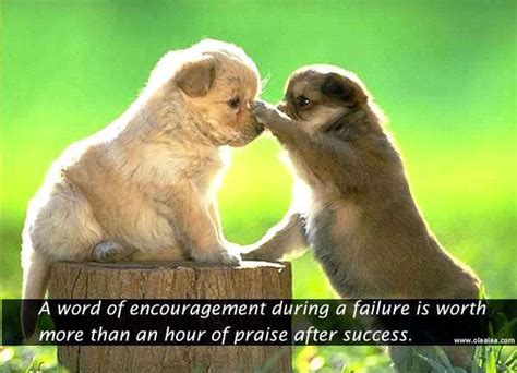 Funny Quotes About Encouragement Quotesgram