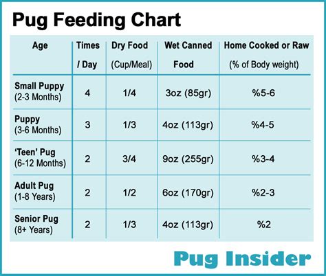 At the start, that means about twice as many per look for feeding charts on commercial puppy food labels. How to Feed My Pug? What, and How Often? - Pug Insider ...