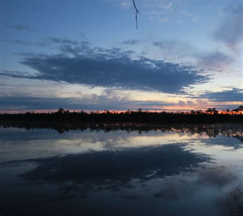Bog Lake In Summernight Its Darkest Time Of Day Estland National