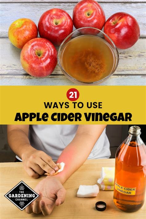 21 Ways To Use Apple Cider Vinegar Bonus Detox Drink Recipes
