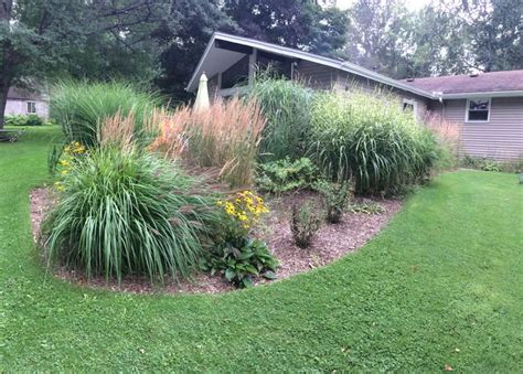 Landscape Design In Our Yard By Me Eric Kancar Ornamental Grasses