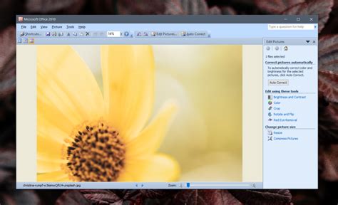 Как установить Microsoft Office Picture Manager в Windows 10 My Road