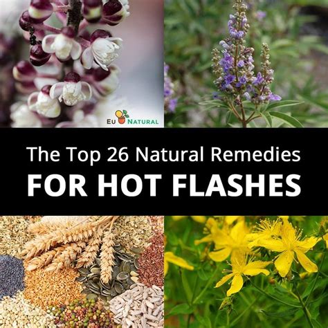 The Top 26 Natural Remedies For Hot Flashes Eu Natural Hot Flash