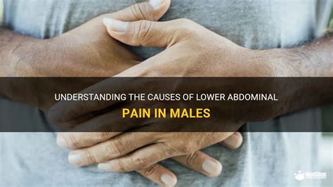 Understanding The Causes Of Lower Abdominal Pain In Males Medshun
