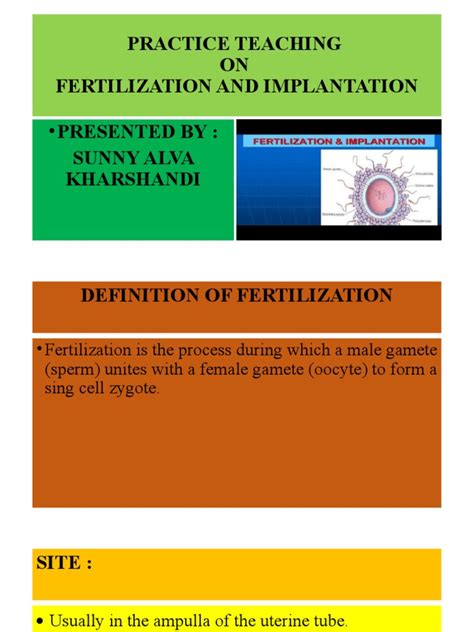 Practice Teaching On Fertilization And Implantation Pdf