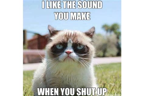 The Top 10 Most Popular Memes Of All Time Cat Quotes Funny Grumpy