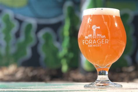 Our team has been together for nearly a decade. Restaurant and Brewery| Rochester, Mn | Forager Brewing ...