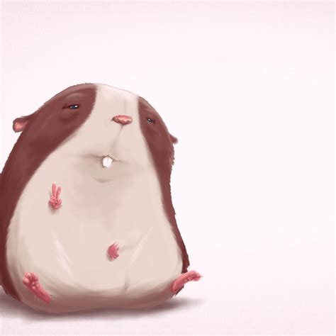 Anime Hamster Wallpapers Wallpaper Cave