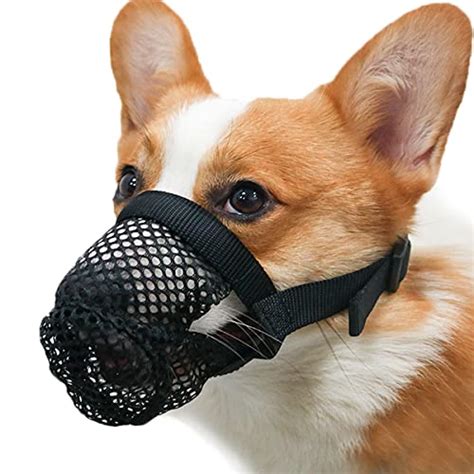 List Of Ten Best Dog Muzzle To Prevent Eating Top Picks 2023 Reviews