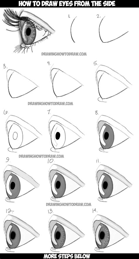 How To Draw Realistic Eyes From The Side Profile View Step By Step