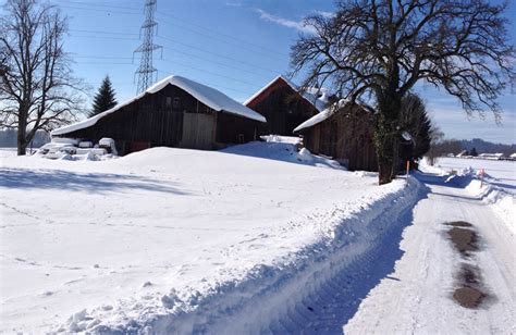Roçadeira de neve a andar. A neve encobre a Suíça: é Natal! - Só Notícia Boa