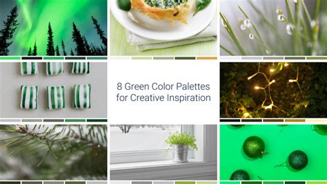 8 Green Color Palettes For More Inspiration Bergh Consulting