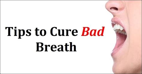 Tips To Cure Bad Breath Human N Health