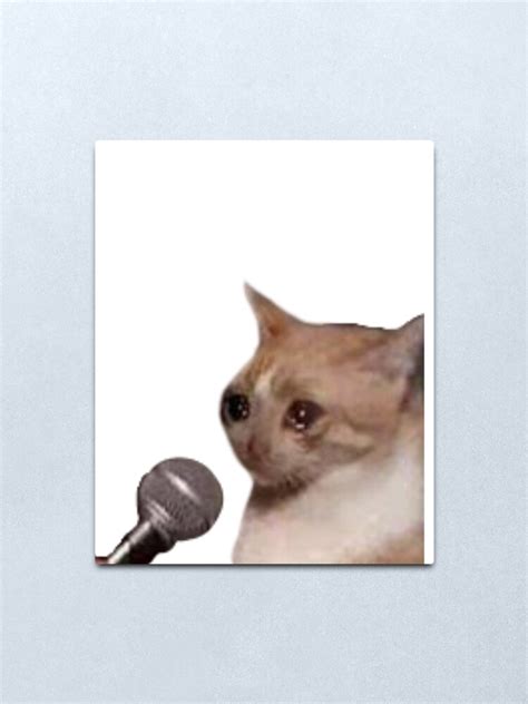 Crying Cat Microphone Meme Crying Cat Meme Crying Cat Microphone
