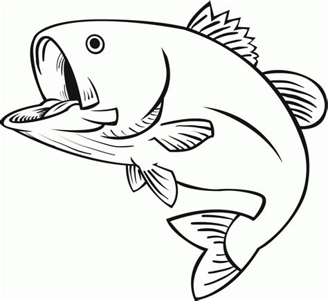 You are viewing some bass fish sketch templates click on a template to sketch over it and color it in and share with your family and friends. 8 Pics Of Jumping Fish Coloring Pages - Jumping Bass Fish ...