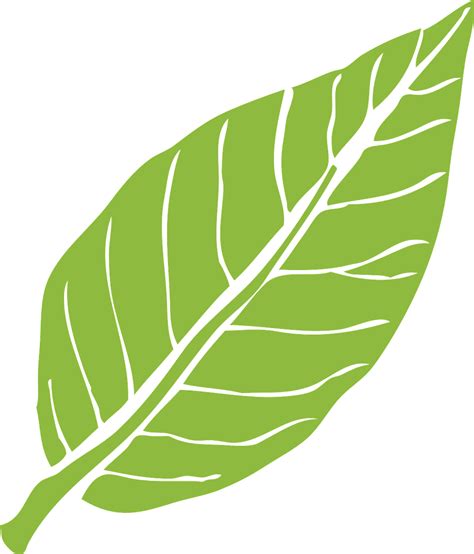 Hoja Naturaleza Verde Gráficos Vectoriales Gratis En Pixabay
