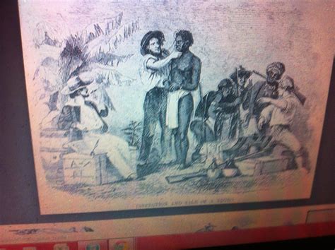 The Black Social History Black Social History Slave Breeding In The