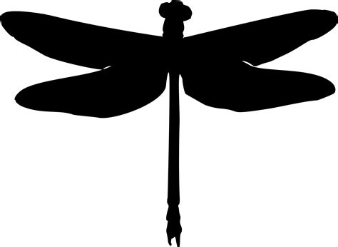 Dragonfly Clipart Copyright Free Dragonfly Copyright Free
