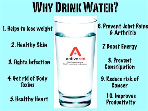 Benefits Of Drinking 5 8 Glasses Of Water A Day Musely