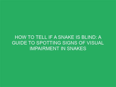 How To Tell If A Snake Is Blind A Guide To Spotting Signs Of Visual