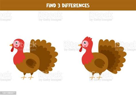 Find Three Differences Between Two Cute Turkeys Stock Illustration