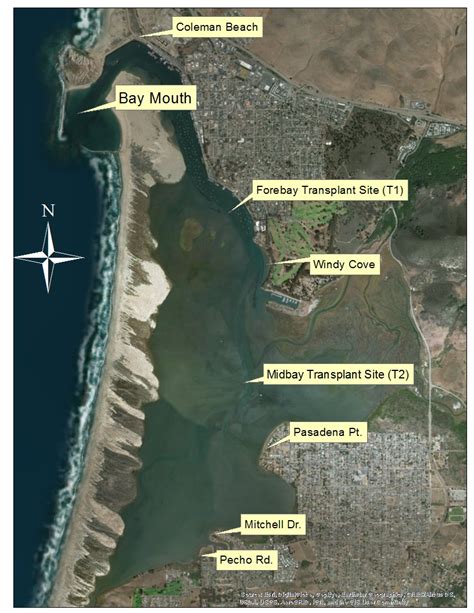 Bay Map With Sample Sites Morro Bay National Estuary Program