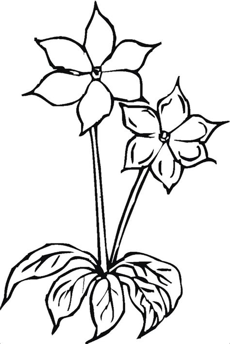 Welcome in free coloring pages site. Flower Template - Free Templates | Free & Premium Templates
