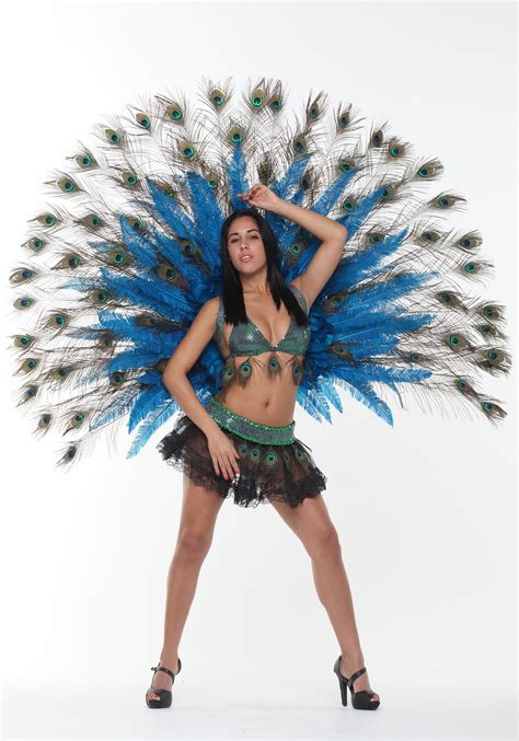 Yay I Found My Costume Lol Peacock Costume Girls Peacock Costume