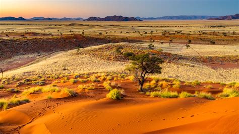 Sunset Light Over The Wide Open Landscape Of The Namib Naukluft
