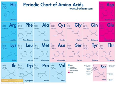 Amino Acid Chart Structure