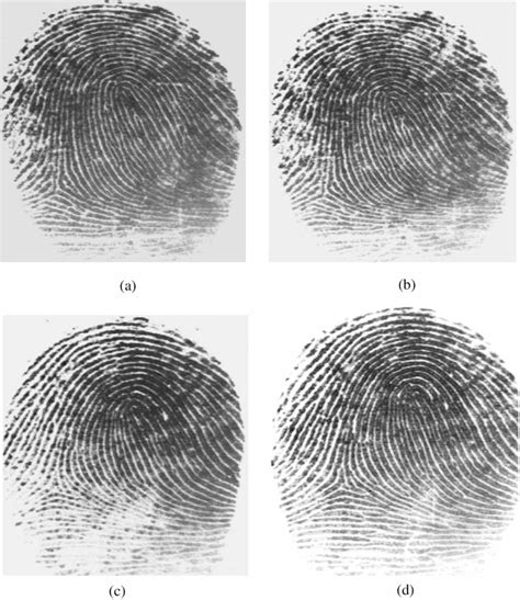 [pdf] On The Similarity Of Identical Twin Fingerprints Semantic Scholar