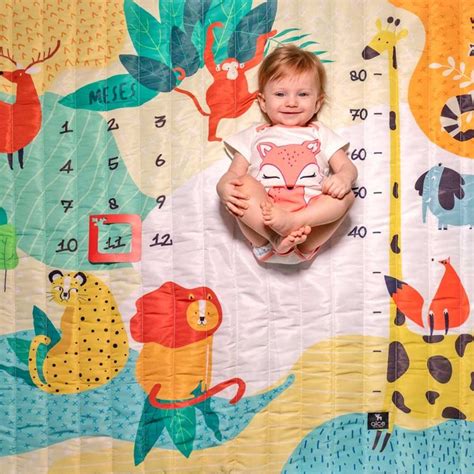 fotos mesversário criativas para fazer em casa com o bebê