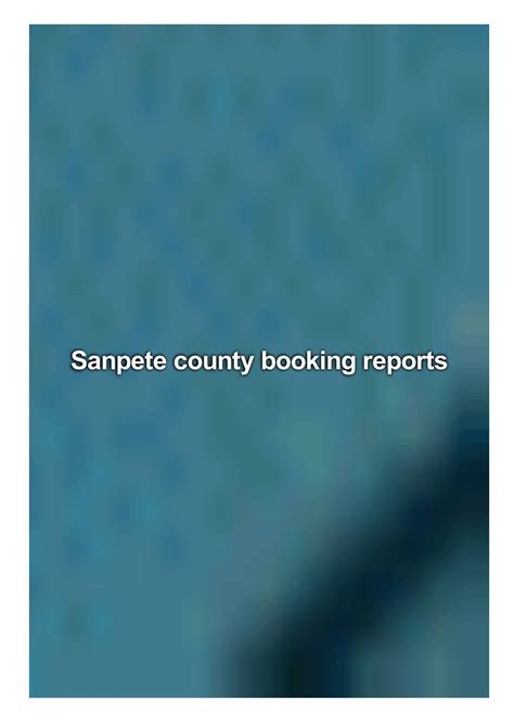 Sanpete County Booking Report