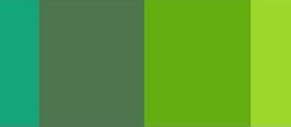 Jenis Najis Warna Hijau - Penjelasan tentang spesies ikan arwana.