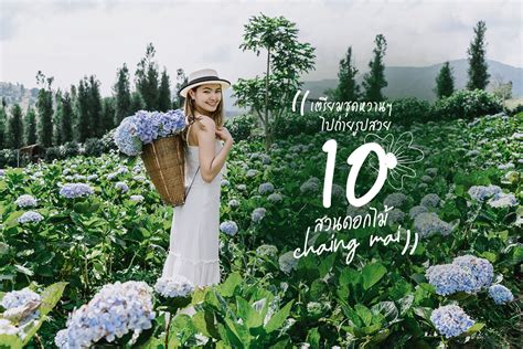 เตรียมชุดหวานๆ ไปถ่ายรูปสวย 10 สวนดอกไม้เชียงใหม่ | Wonderfulpackage.com