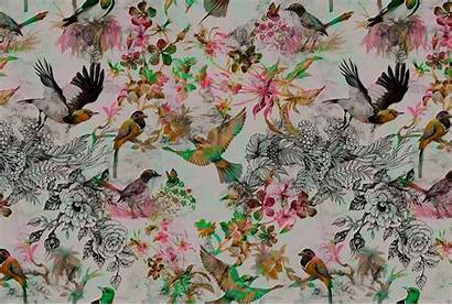 Funky Birds Walls Paper Patel Architects Wallpapers