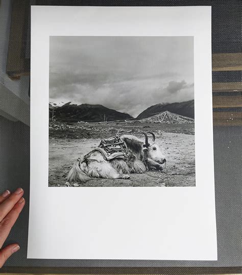 Silver Gelatin Photograph What Is It — Katri Lassila
