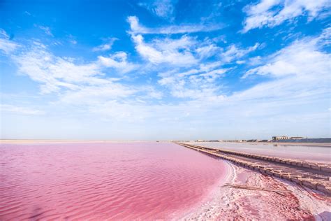 El Lago Rosa Más Impresionante De África