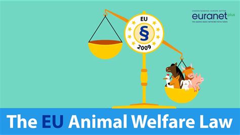 The Eu Animal Welfare Law Youtube