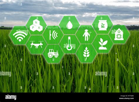 Iot Internet Of Thingsfarmer Agriculture Concept Smart Farm With