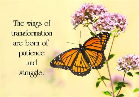 Amazing Ideas Beautiful Butterfly Quotes Love Quotes
