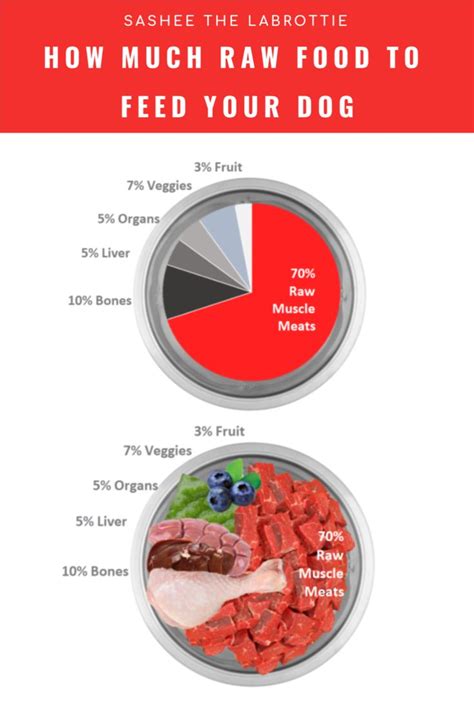Raw Dog Food Feeding Chart