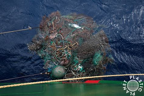 How The Seafood Industry Is Polluting The Ocean And