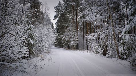 Download 1920x1080 Snow Path Winter Forest Road Scenery Wallpapers