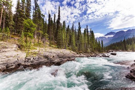 Athabasca River Stock Image Image Of Athabasca Recreation 78355453
