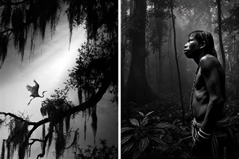 Of The Most Beautiful Black And White Images Taken By Photographers