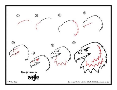 How To Draw A Realistic Bald Eagle Head Art For Kids Hub Eagle