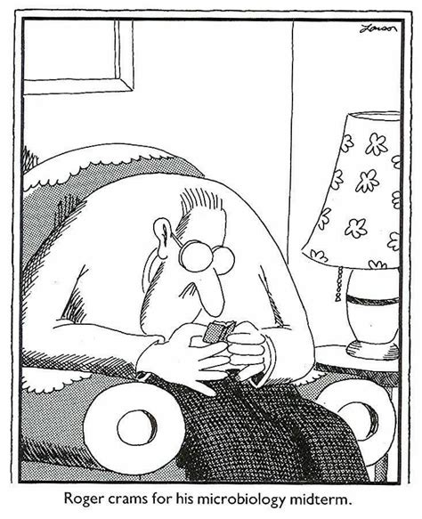 The Far Side By Gary Larson Science Comics Science Cartoons