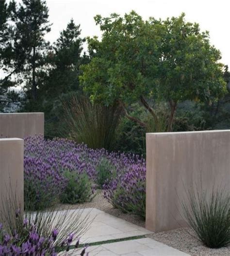 Tenniswood Inspiration In Garden Design Mediterranean Garden